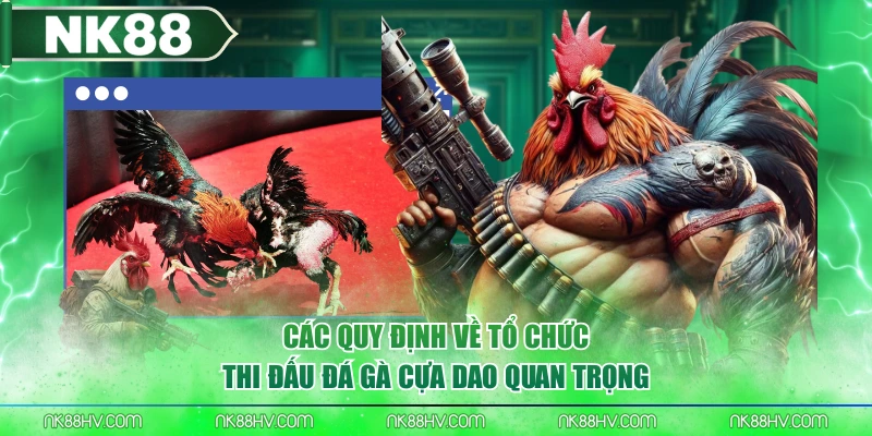 Các quy định về tổ chức thi đấu đá gà cựa dao quan trọng