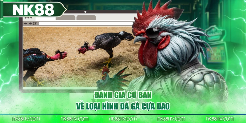 Đánh giá cơ bản về loại hình đá gà cựa dao